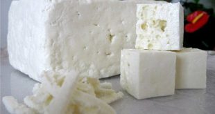 فروش پنیر ایرانی